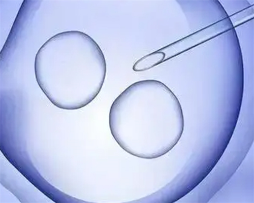 江苏省三代试管费用详情介绍，单周期助孕价格参考！