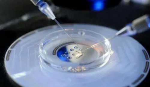 试管婴儿取精怎么取