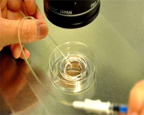 国产活叶酸品牌介绍，怎么挑选这里教你正确方法！