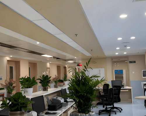 安徽第三代试管婴儿助孕收费多少钱？让我们来看看