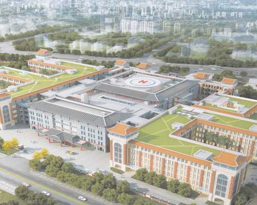 仁济三代借卵试管代生孩子有冻胚吗