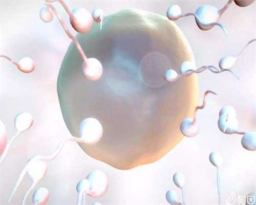 艾叶泡脚的副作用_怎么用艾叶泡脚_艾叶泡脚的好处