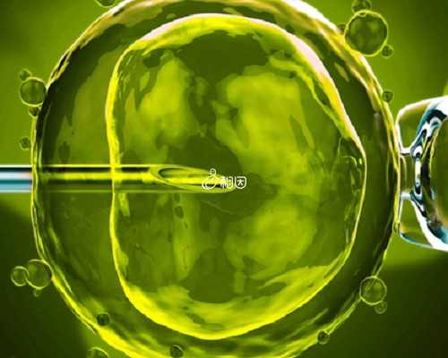 备孕期男性吃什么水果（高龄备孕饮食食谱）