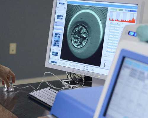 兰州女性排卵期是什么时候