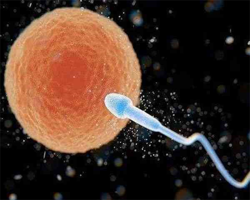 50岁高龄失独母亲“借卵生女”，供卵代生哪家专业成功案例真不少