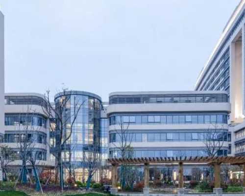 去美国做借卵套餐价格表成功率和费用呢？医生技术好吗？