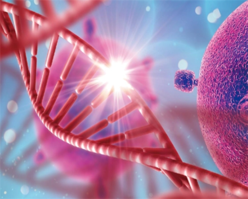 金华三代代生儿子多少钱比二代代生儿子多少钱贵多少钱？有哪些区别？