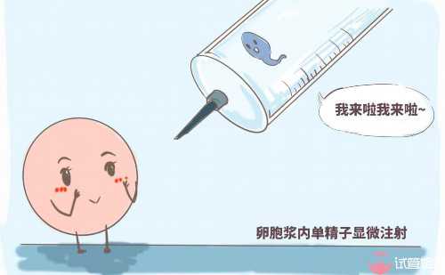 新加坡做代生男孩女孩大概多少钱？知晓代生男孩女孩成功率与费用的关系