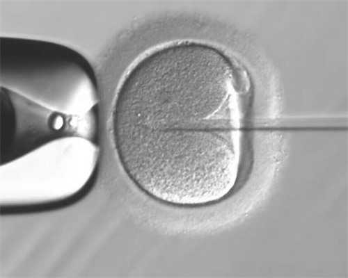 (健康指南)三代代生宝宝价格多少6d囊胚成功率