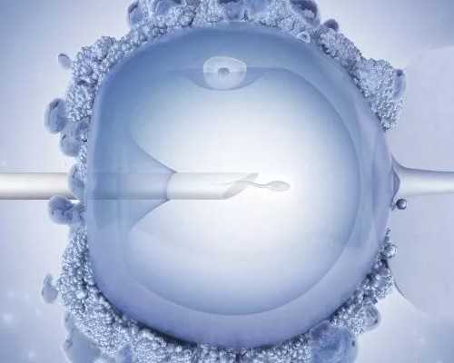 2026国内二代供卵联系方式费用明细一览