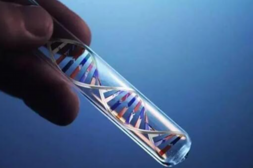 2026年精子形态差做三代代生中心公司价格分享