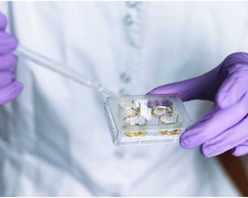 格鲁吉亚二代代怀代生包男孩价格便宜(格鲁吉亚代怀代生包男孩多少钱)