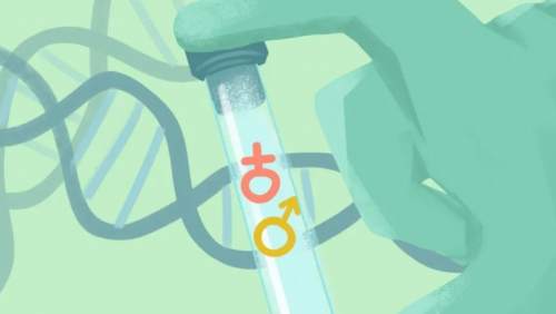 代妈公司咨询_正规供卵代孕公司,不来月经是不是不能生孩子（产后月经来的早