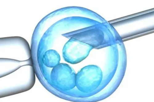 代孕应聘公司,女方卵巢早衰能不能做人工授精