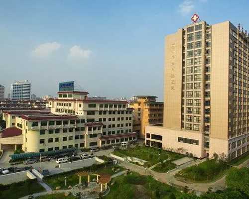 哪里有要代孕,试管胚胎在子宫里会着床吗,试管婴儿是将胚胎放到宫腔吗！